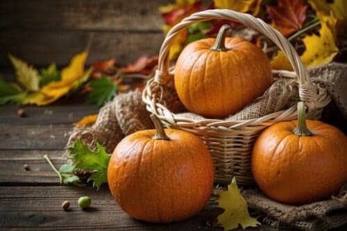 20 Healthy Eating Tips for Autumn You’ll Love